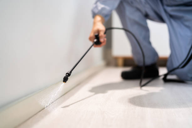 Licensed Cockroach Control service in Eastman, GA - Nex Pest Control