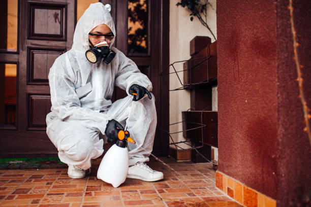 Reliable Cockroach Control contractor in Eastman, GA by Nex Pest Control